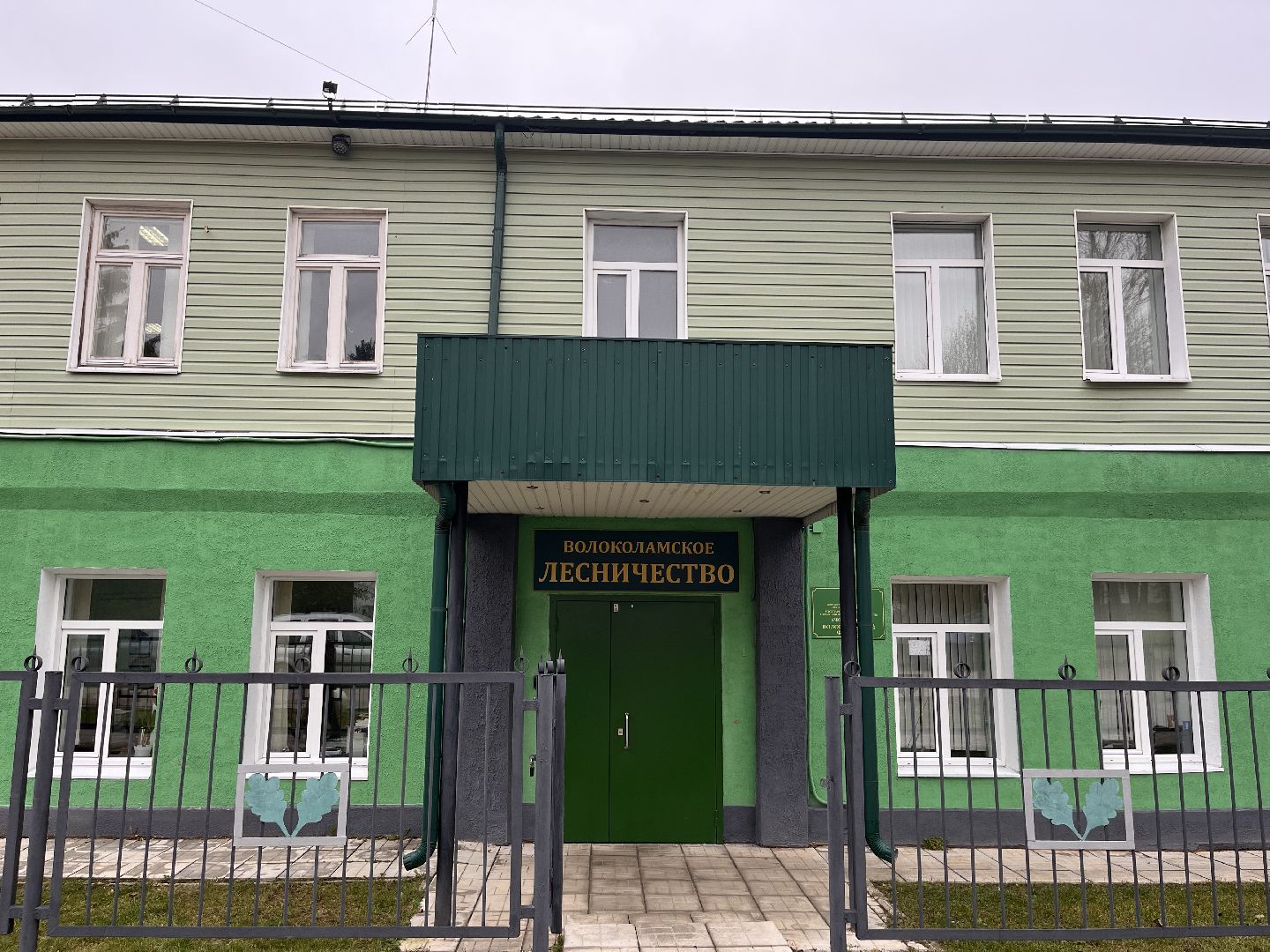 шаховская, лесничий, лесничество, деревья,