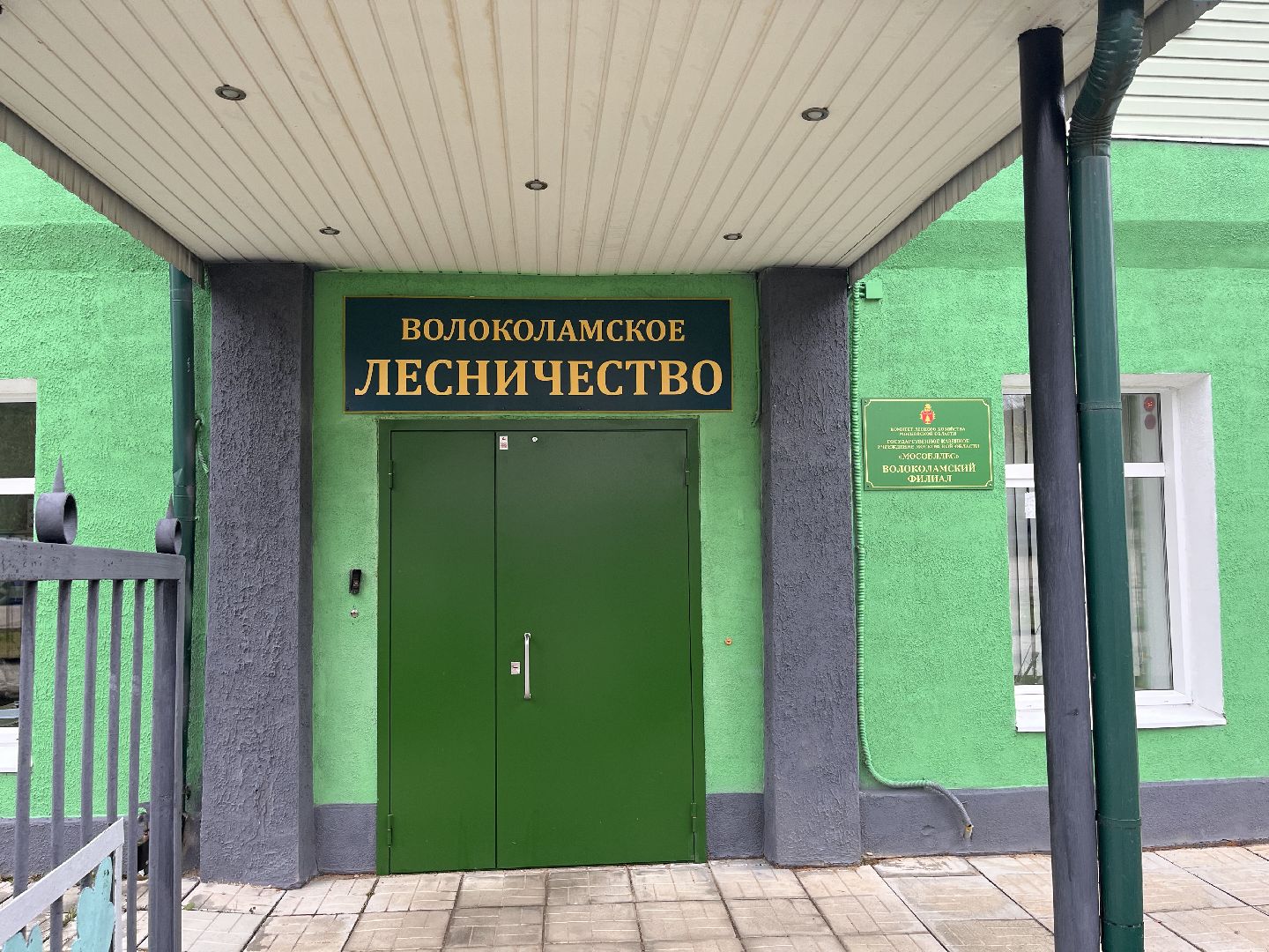 шаховская, лесничий, лесничество, деревья,