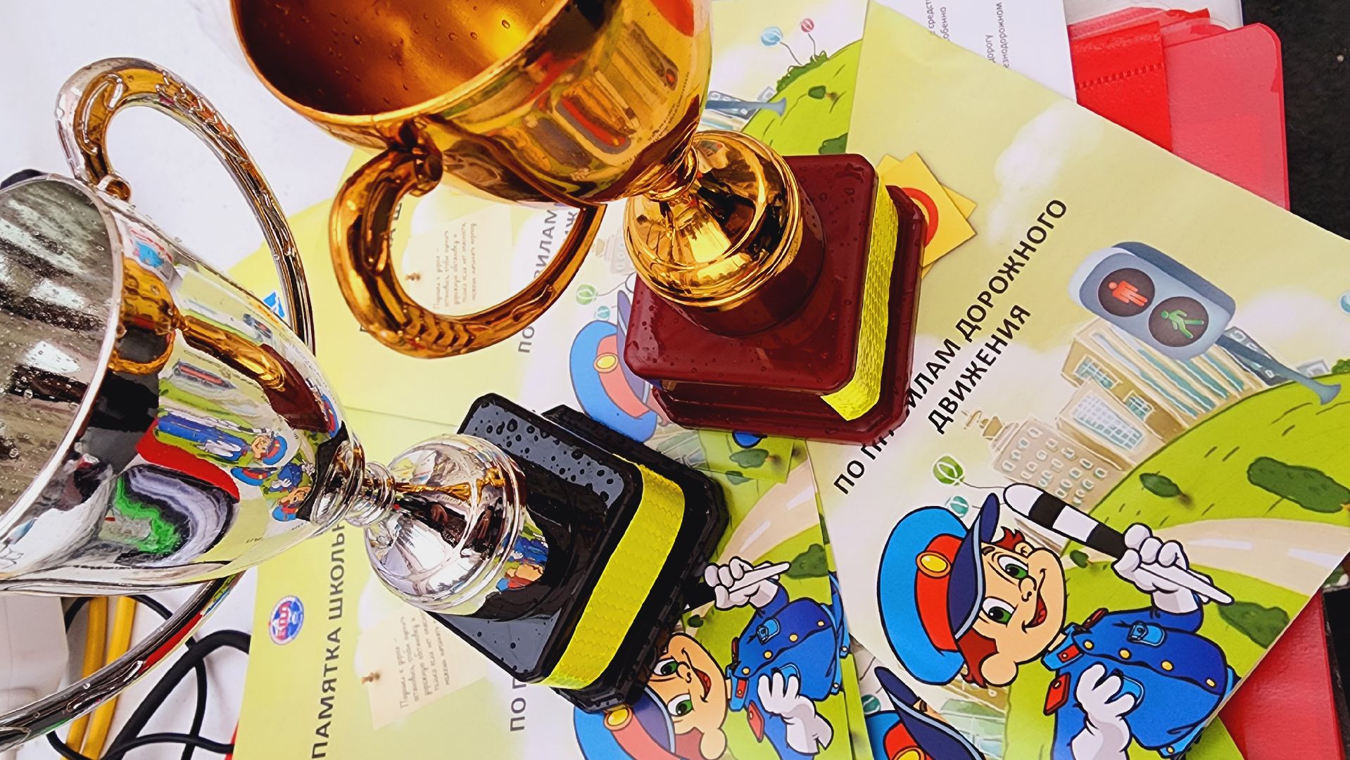 домодедово, подмосковье, ПДД, Госавтоинспекция, Засветись, социальный раунд, безопасный двор, Союз БДД, Жители Домодедова, дорожное движение, светоотражающие элементы, фликеры, световозвращатели,