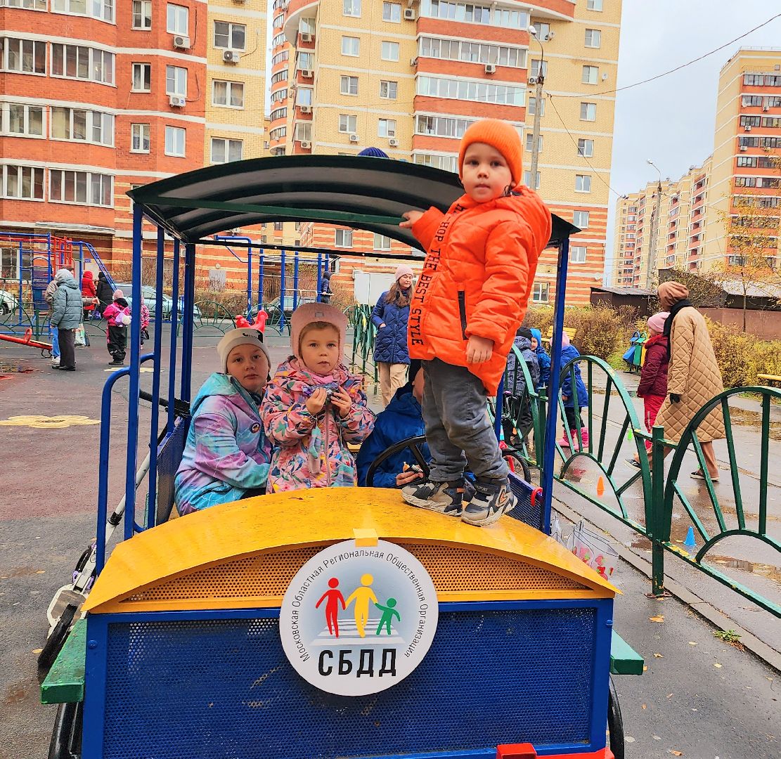 домодедово, подмосковье, ПДД, Госавтоинспекция, Засветись, социальный раунд, безопасный двор, Союз БДД, Жители Домодедова, дорожное движение, светоотражающие элементы, фликеры, световозвращатели,