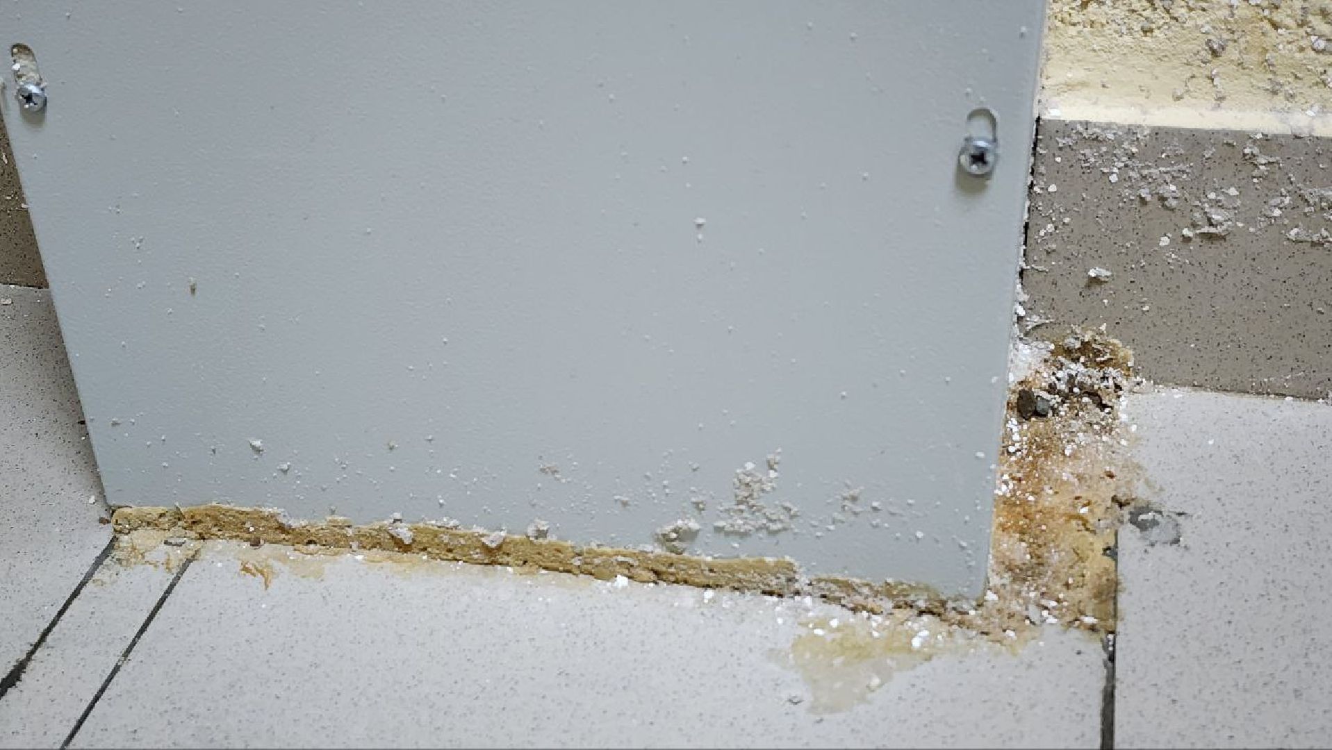 Дмитров, ЧП, Глава Дмитровского округа,