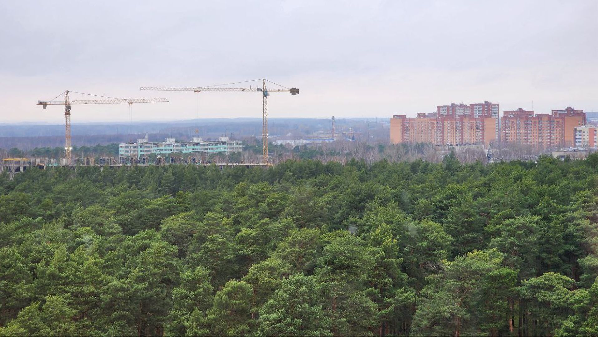 Дмитров, ЧП, Глава Дмитровского округа,