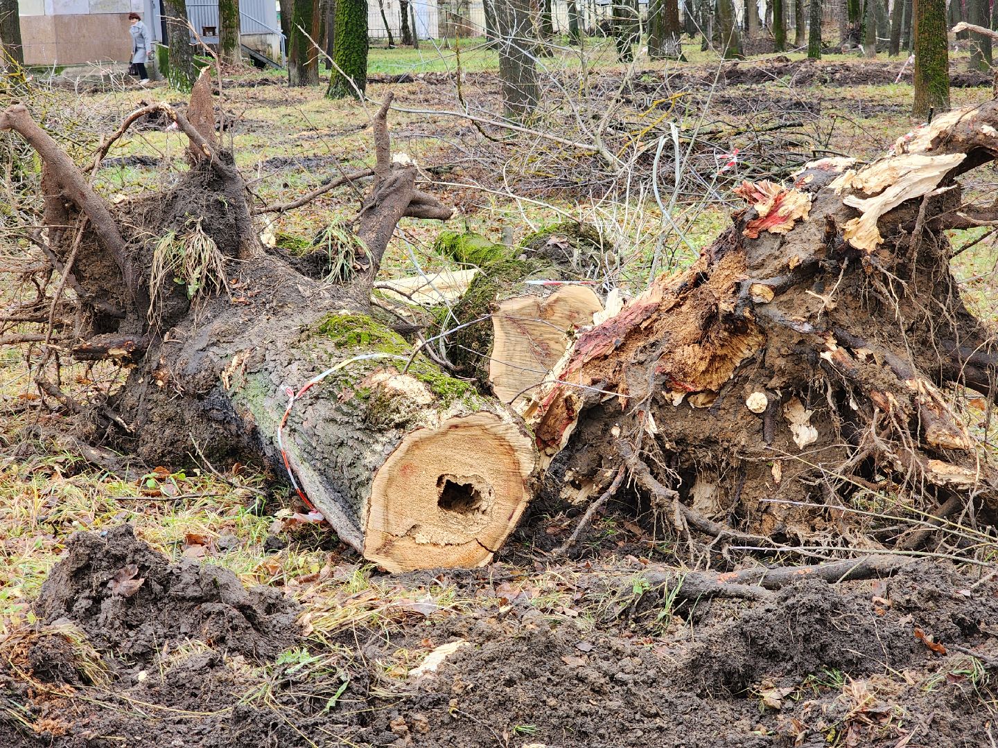 сквер, благоуйстройство, серпухов, северная площадь, конкурс благоустройства,