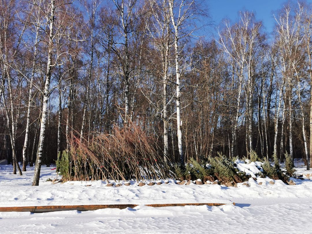 Подольск Спорт