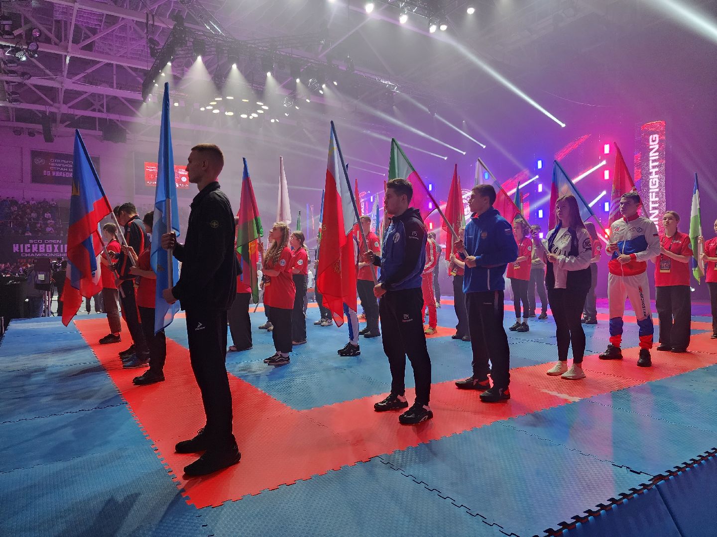 раменское, спорт, международный чемпионат по кикбоксингу, победительница соревнований, алина шапронас,