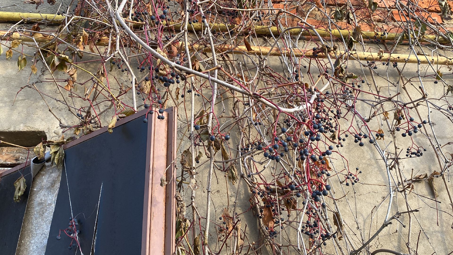 волоколамск, мкд, аварийное жилье, аварийный объект, переселение из ветхого жилья,