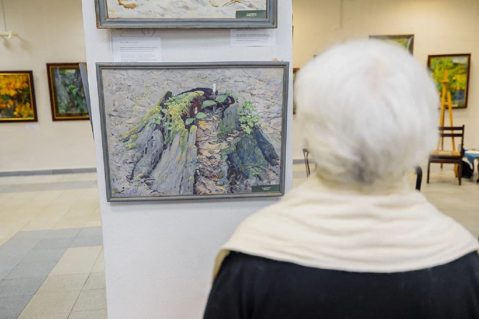 выставка, акварель, художница, картины, выставочный зал, орехово-зуево,