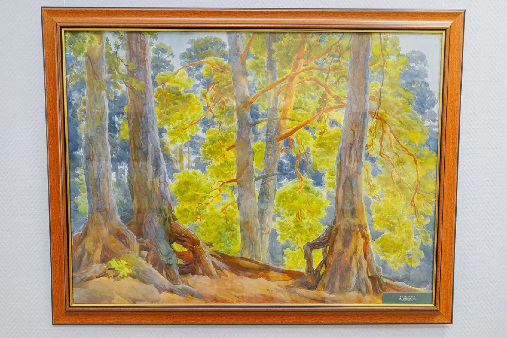 выставка, акварель, художница, картины, выставочный зал, орехово-зуево,