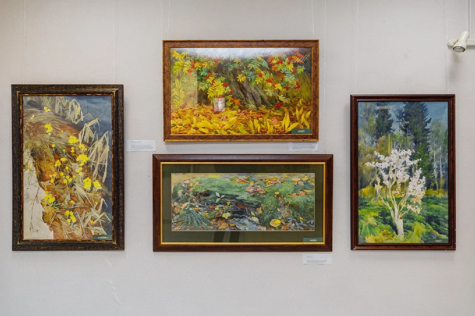 выставка, акварель, художница, картины, выставочный зал, орехово-зуево,