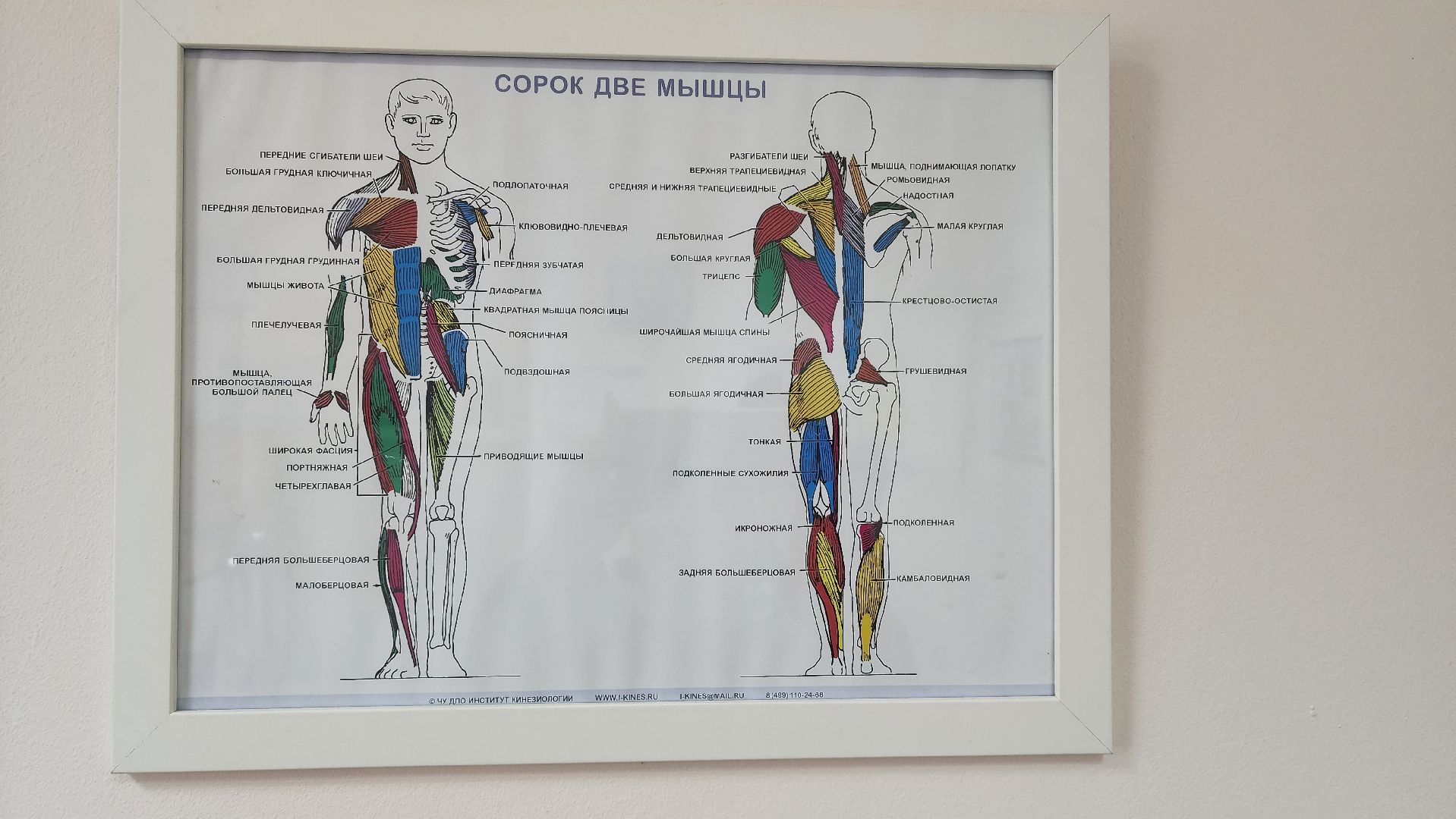 подмосковье, городской округ пушкинский, Ивантеевка, психолог, медицина, успех,