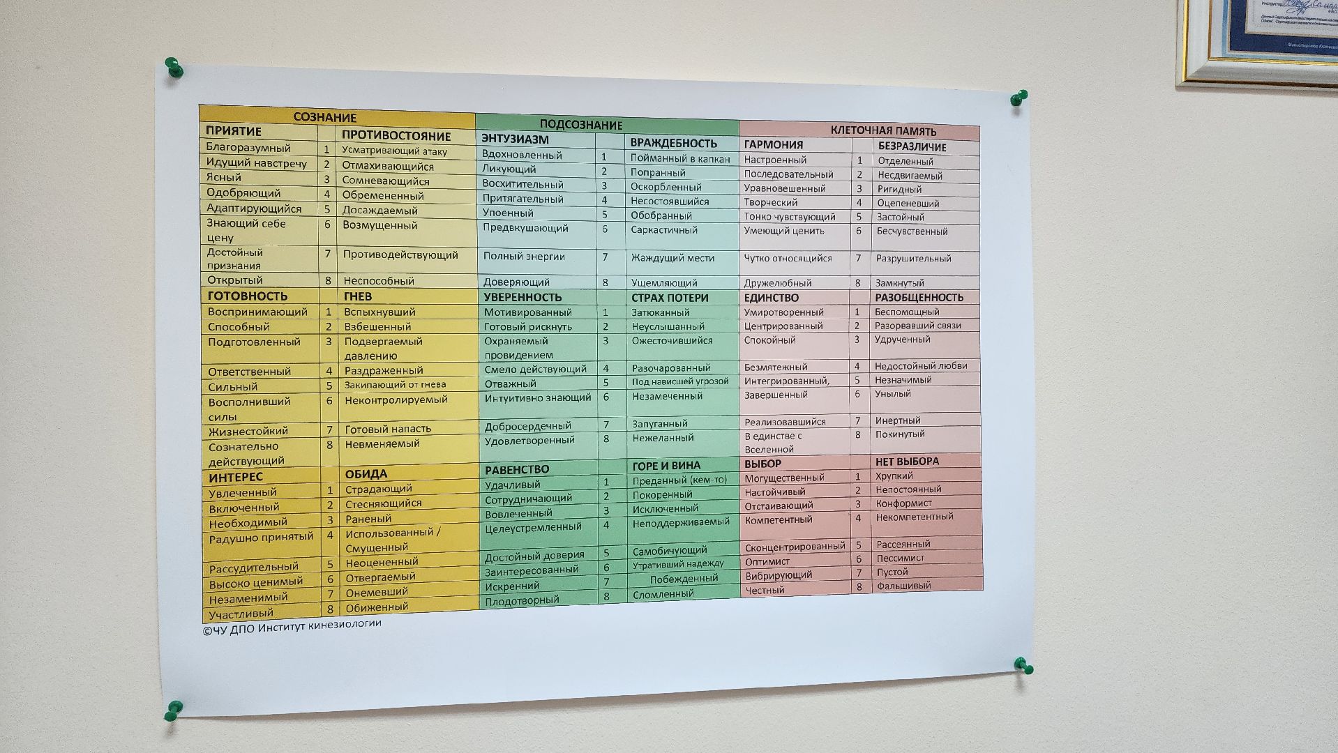 подмосковье, городской округ пушкинский, Ивантеевка, психолог, медицина, успех,