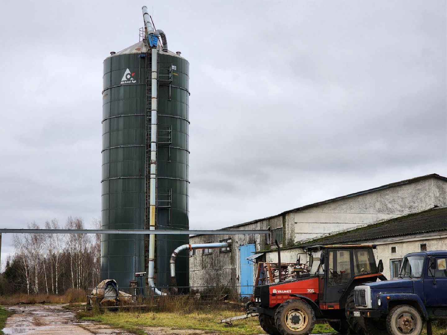 Солнечногорск, Ферма, Глазово, Коровы, Молоко,