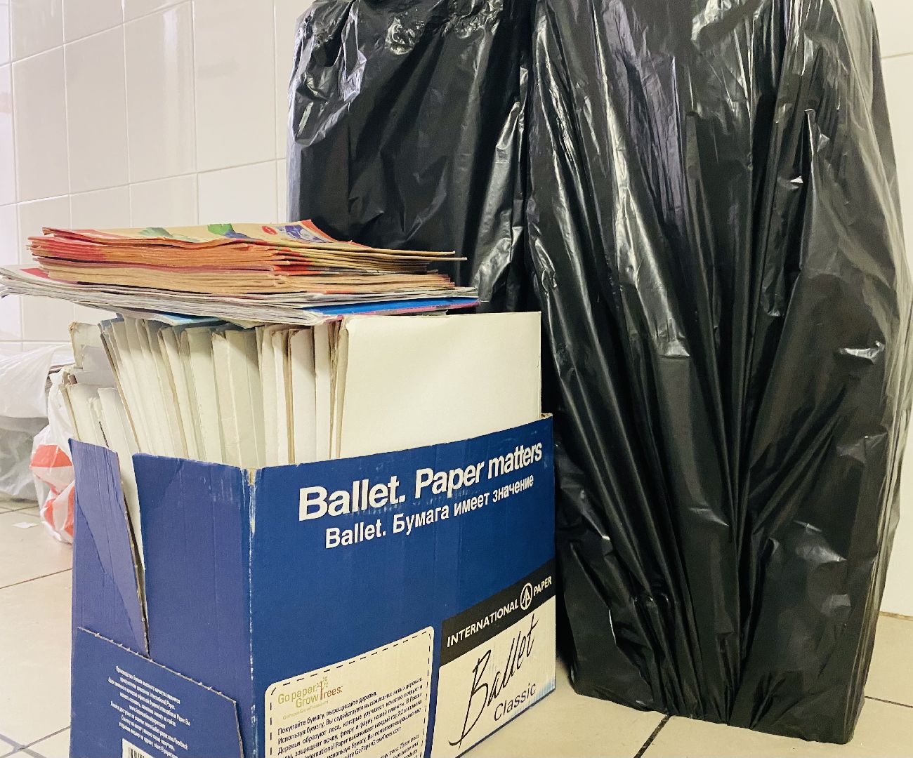 БумБатл, Макулатура, сдай бумагу, экология, экологическая акция, домодедово, подмосковье, экоинициатива, экосистема, сохранение природы,