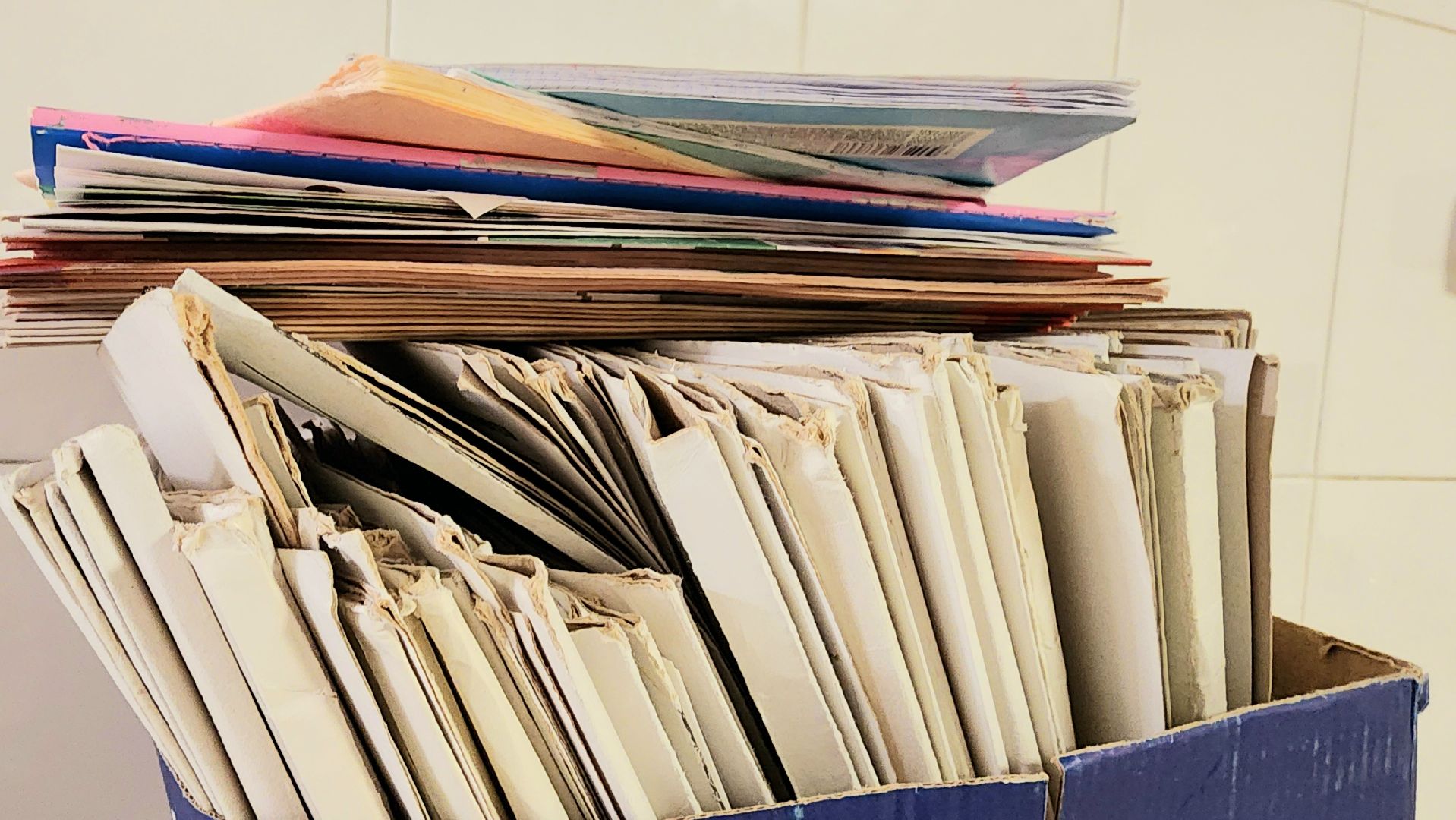 БумБатл, Макулатура, сдай бумагу, экология, экологическая акция, домодедово, подмосковье, экоинициатива, экосистема, сохранение природы,