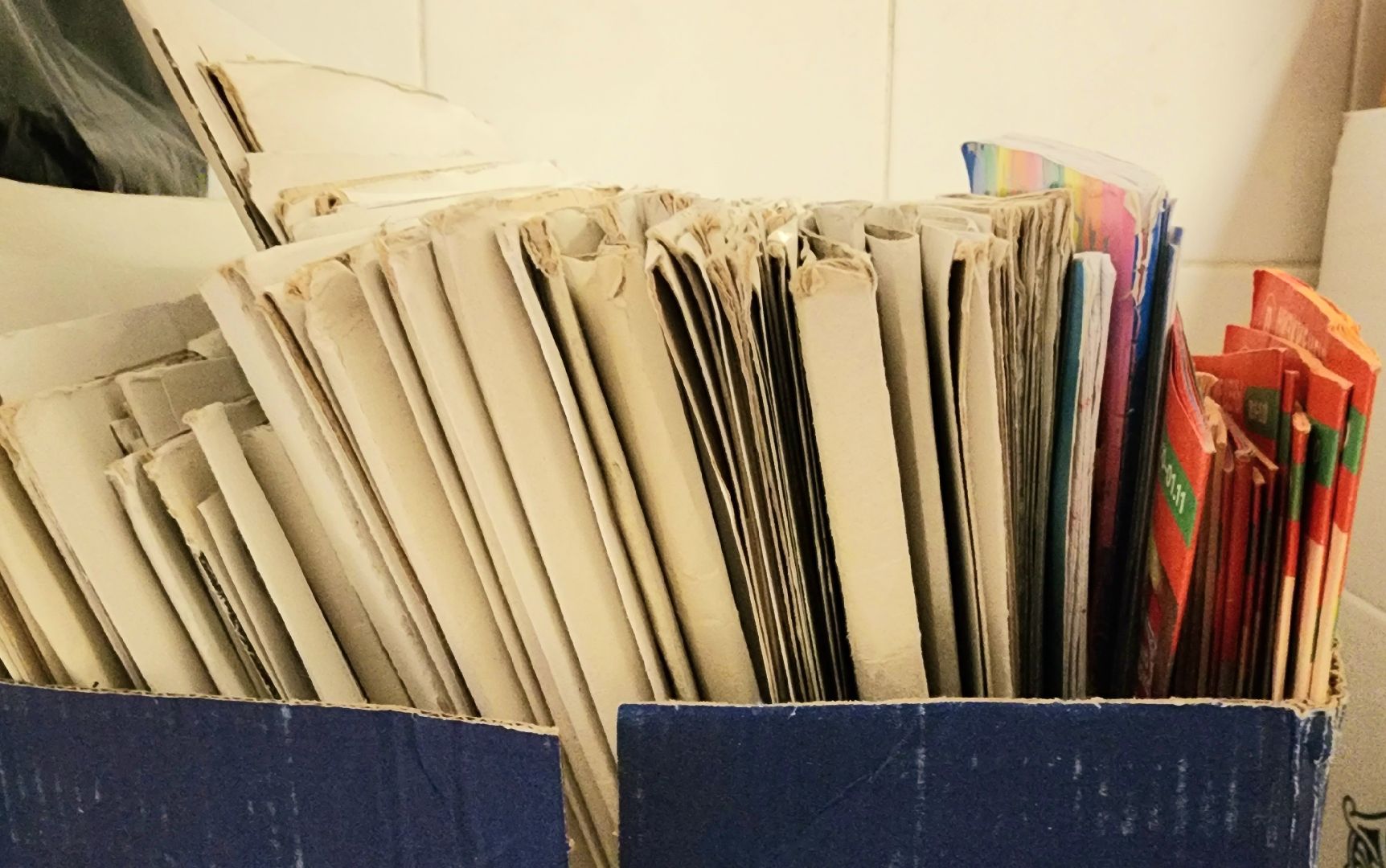 БумБатл, Макулатура, сдай бумагу, экология, экологическая акция, домодедово, подмосковье, экоинициатива, экосистема, сохранение природы,