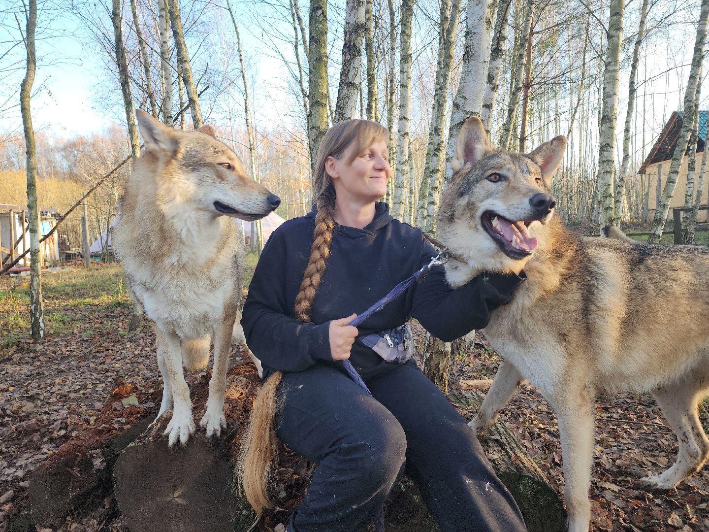 кашира, зоостудия ковчег, киноволки, дух байкала, актеры,