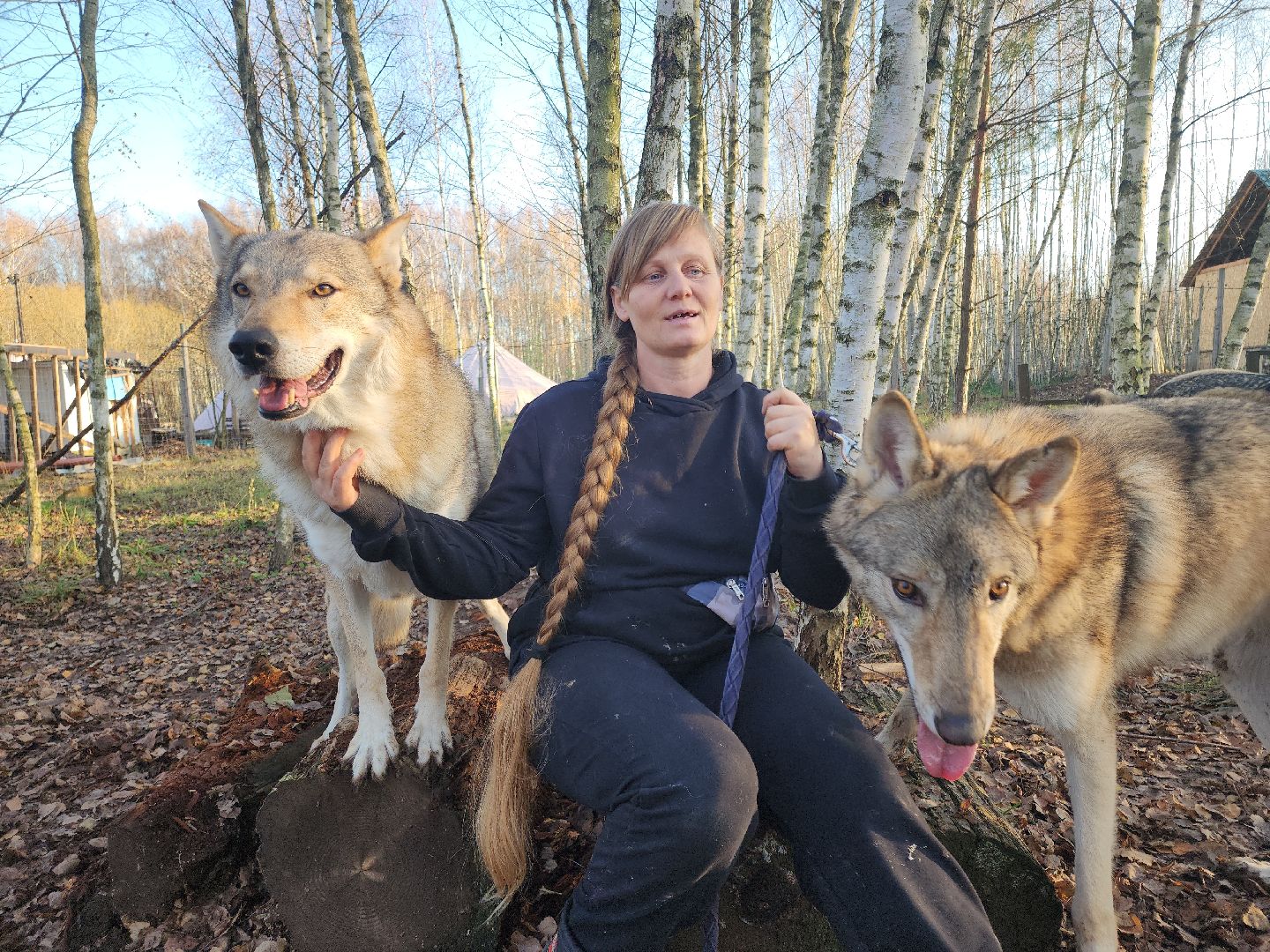 кашира, зоостудия ковчег, киноволки, дух байкала, актеры,