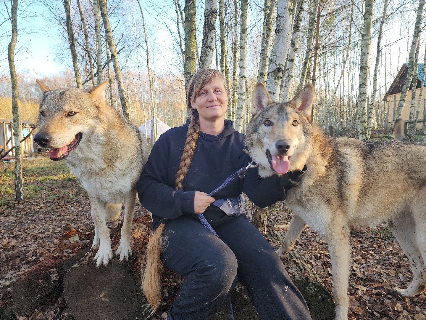 кашира, зоостудия ковчег, киноволки, дух байкала, актеры,