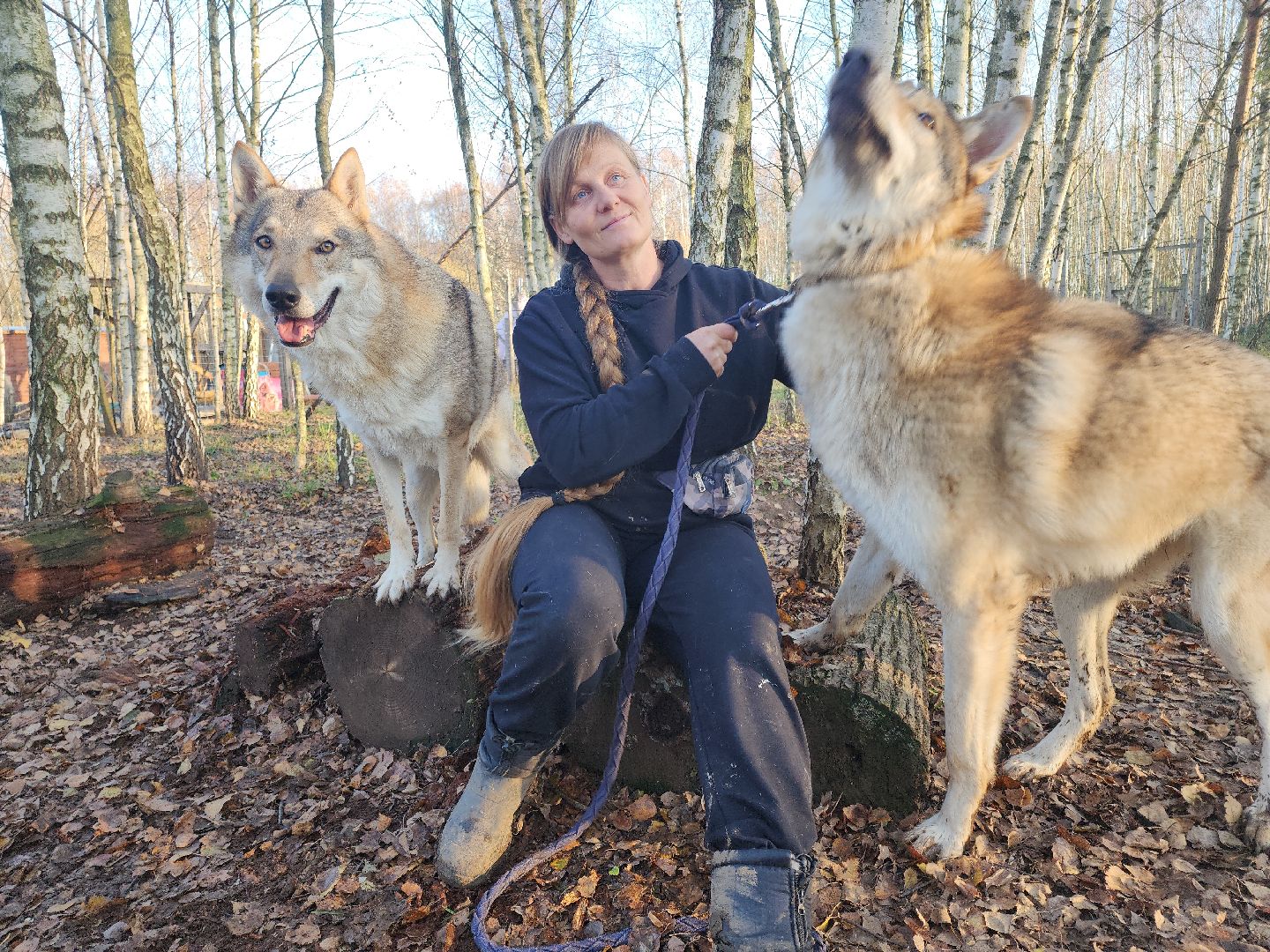 кашира, зоостудия ковчег, киноволки, дух байкала, актеры,