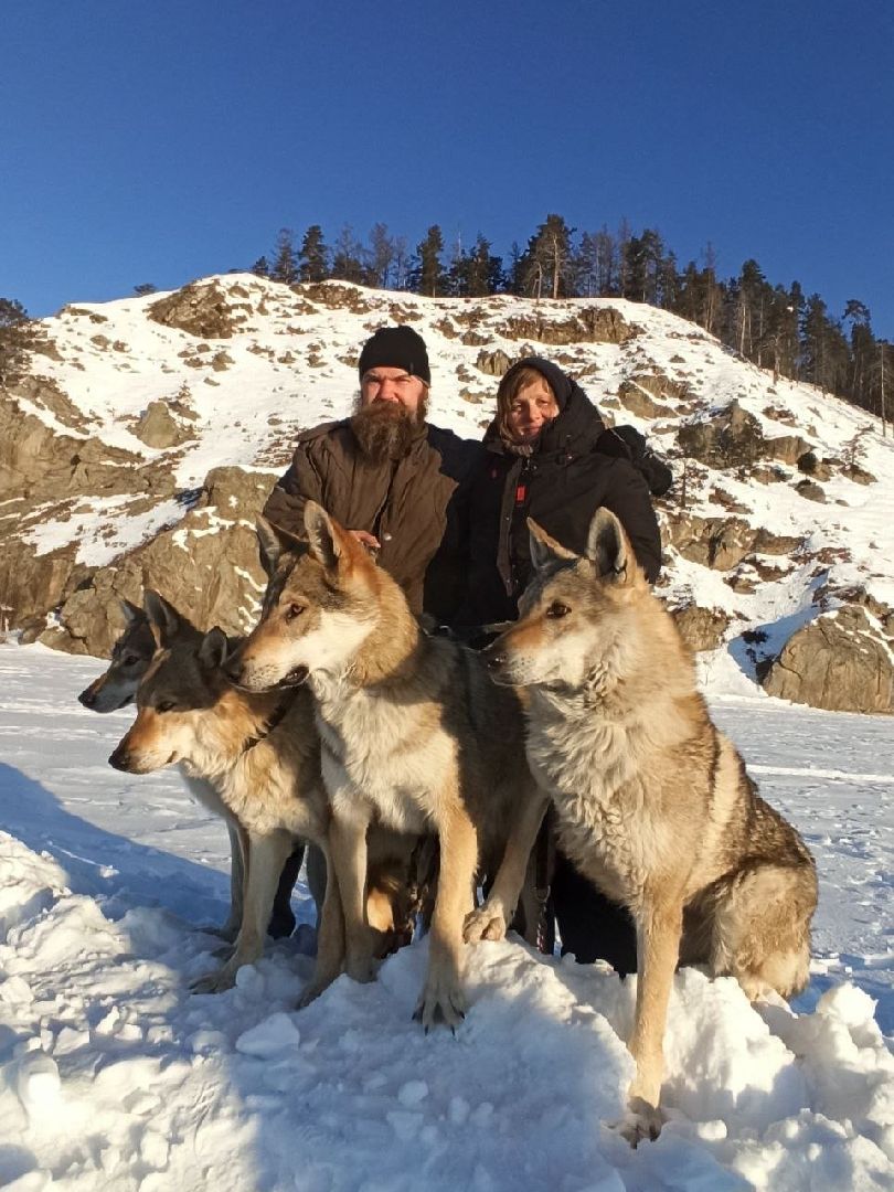 кашира, зоостудия ковчег, киноволки, дух байкала, актеры,