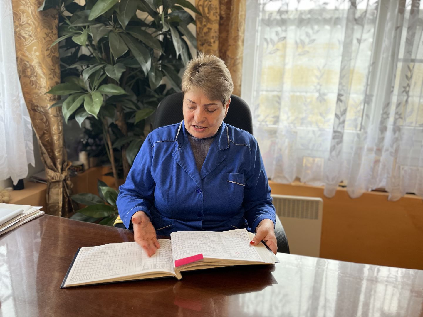 шаховская, коровы, молоко, хозяйство, ферма,