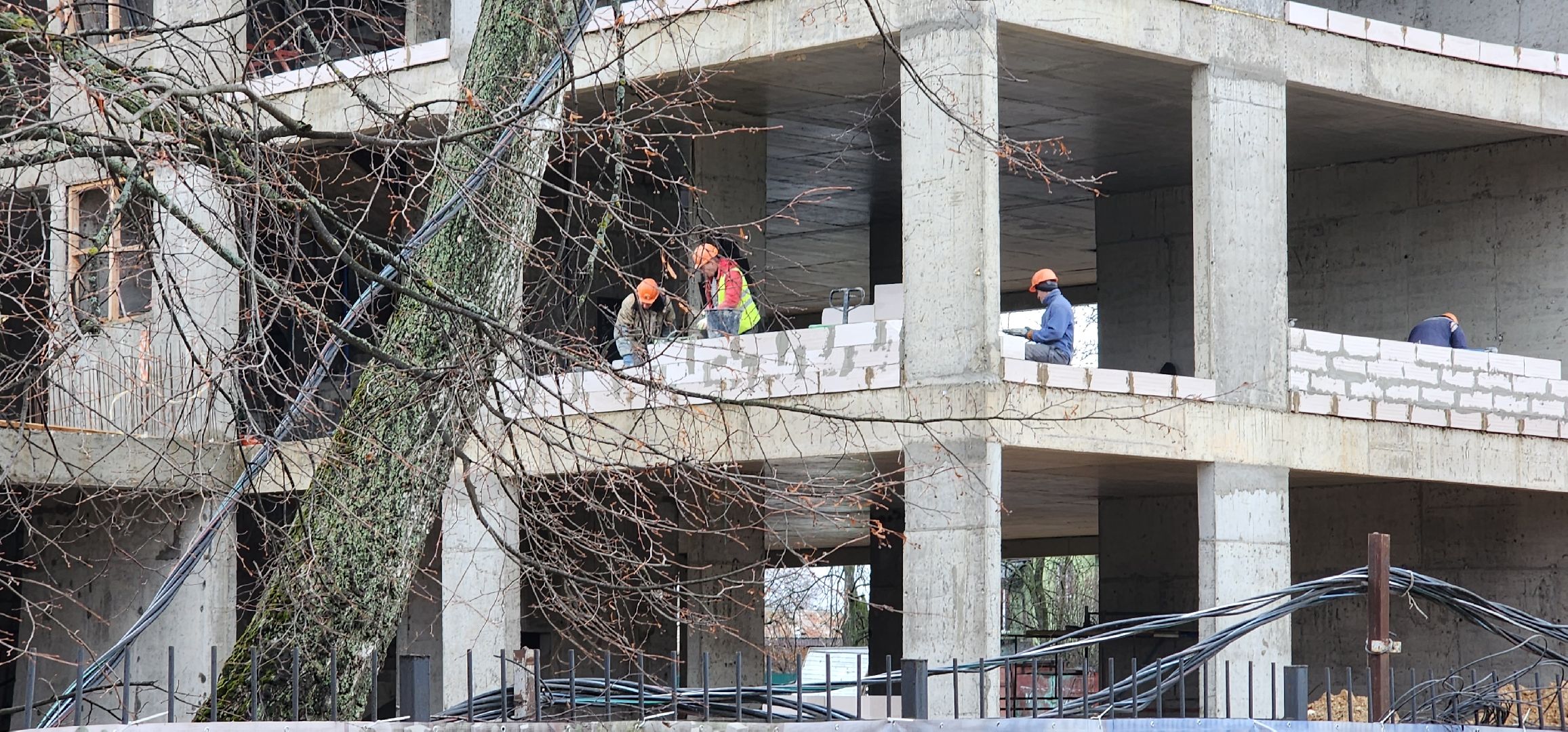 родительский контроль, новая школа, Барыбино, Домодедово,