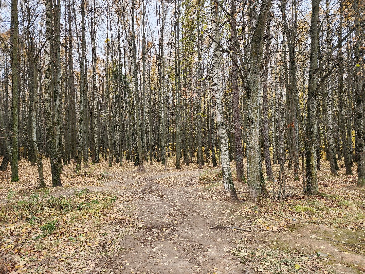 Звенигород, Культура, Дом культуры,