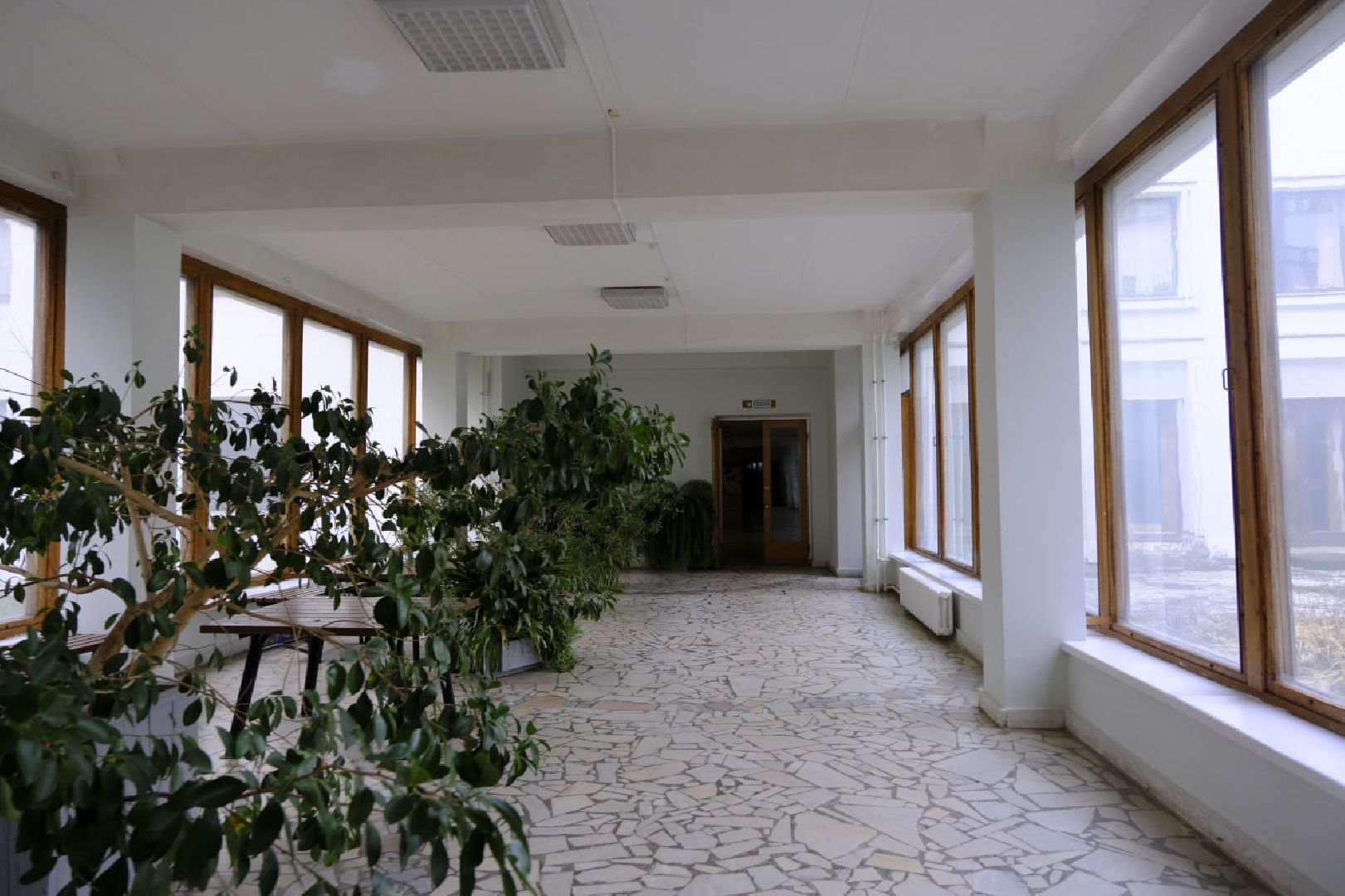 пущино, наука, десятилетие науки и технологий, наука рядом,