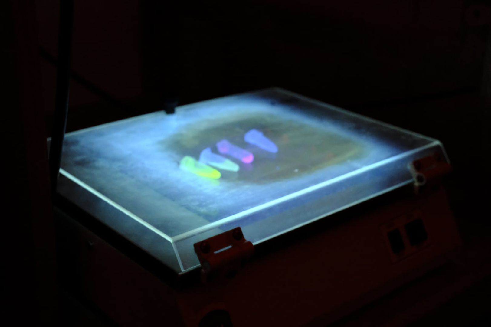 пущино, наука, десятилетие науки и технологий, наука рядом,