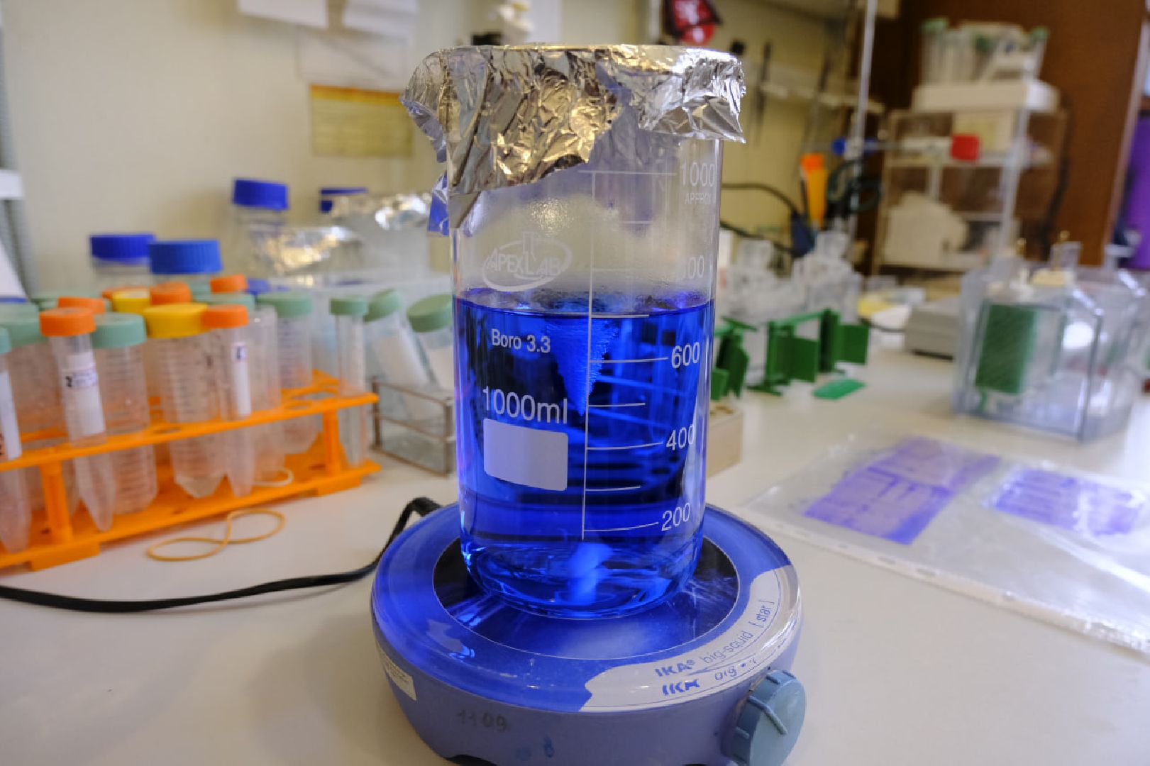 пущино, наука, десятилетие науки и технологий, наука рядом,