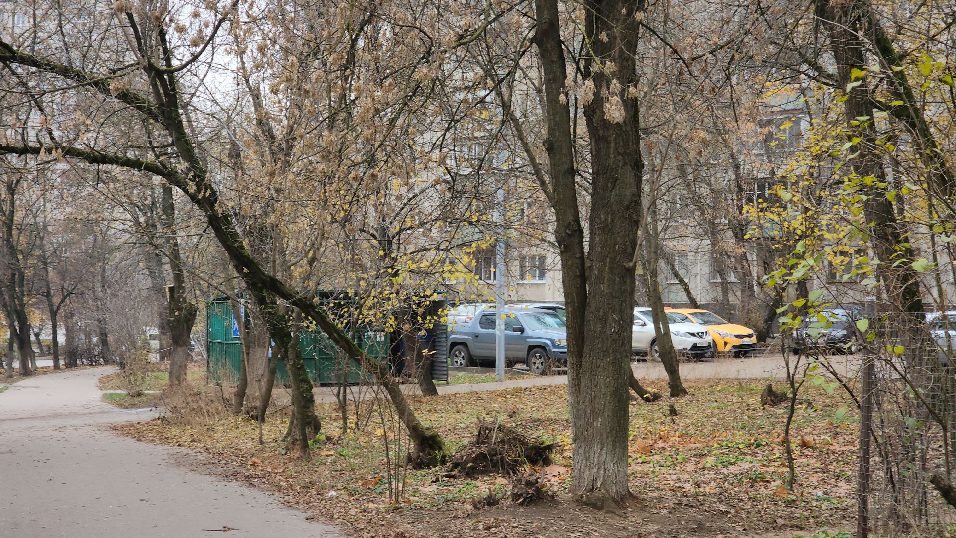 контейнерная площадка, КГО, крупногабаритные отходы, Шагизиганов, УК Наукоград, Дугина, мусор,