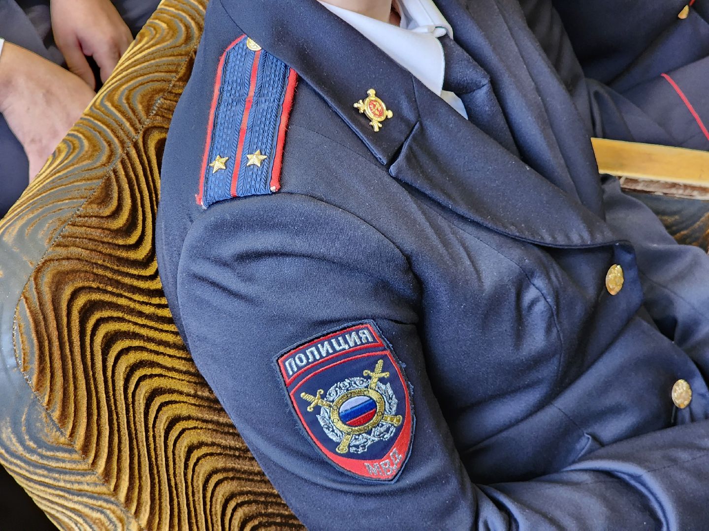 Егорьевск, подмосковье, омвд, полиция, праздник,