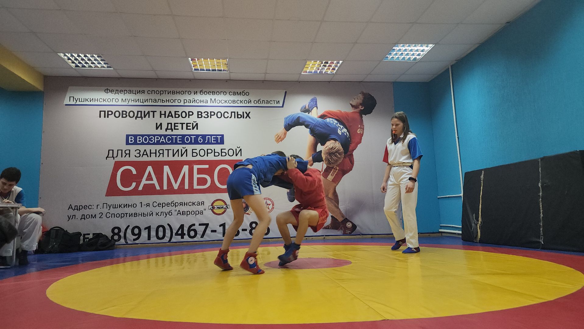 zа самбо, спорт, самбо 70, Пушкино, Городской округ Пушкинский, единоборства,