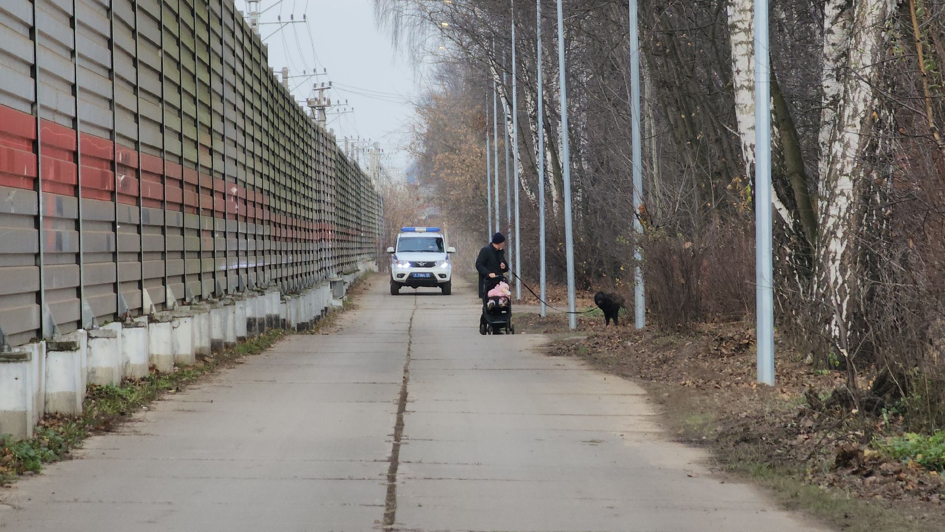 Пушкино, тарасовка, светлый город, программа губернатора, городской округ пушкинский,