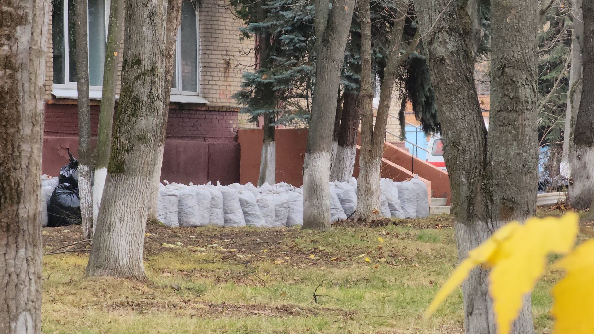 Медицина, благоустройство, люди, общемтво, здравоохранение, городской округ пушкинский, ивантеевка,