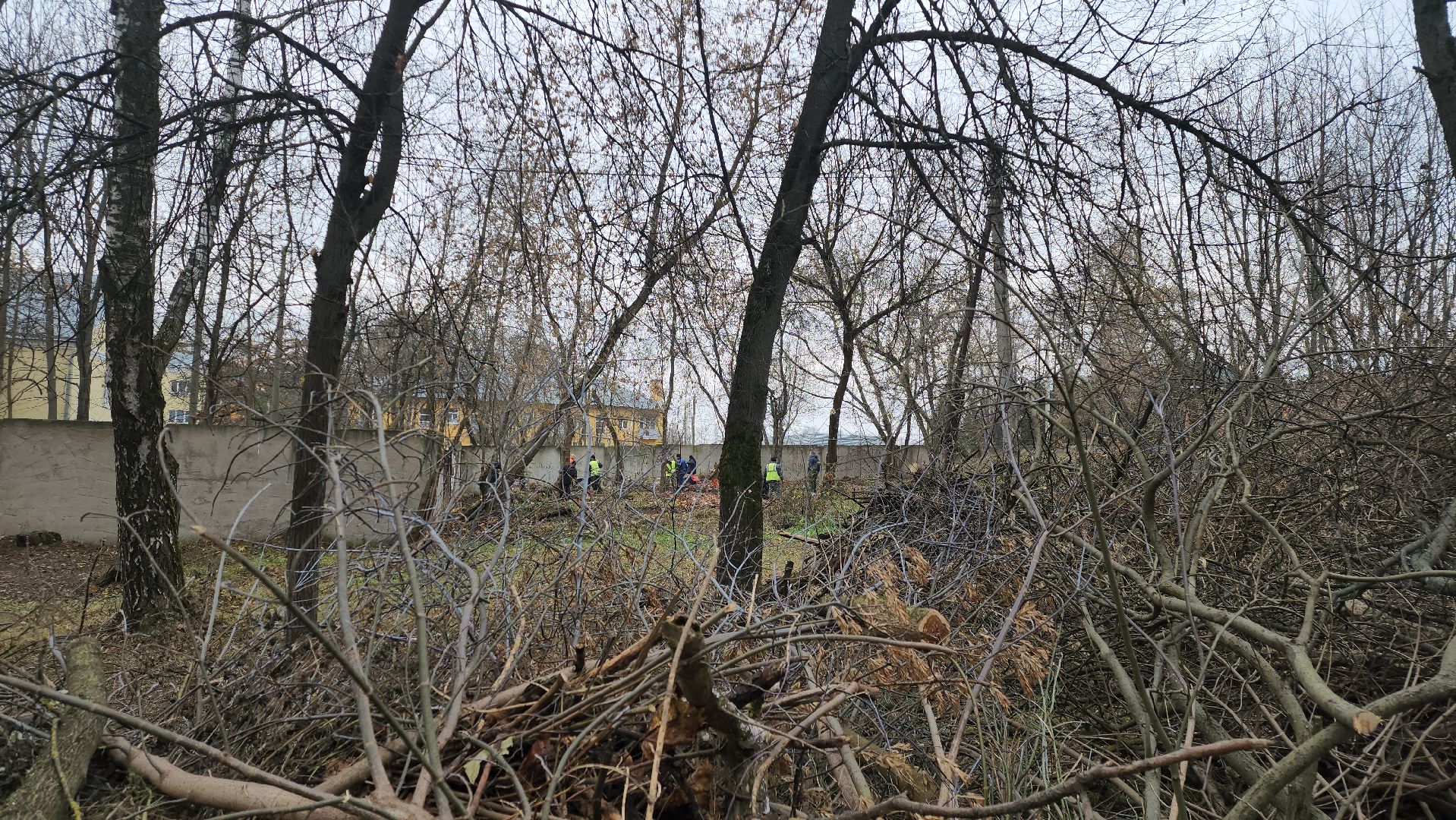 Медицина, благоустройство, люди, общемтво, здравоохранение, городской округ пушкинский, ивантеевка,