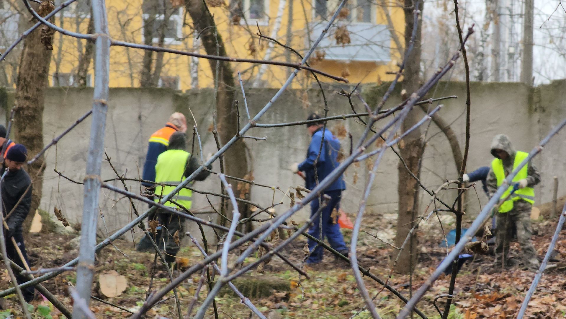 Медицина, благоустройство, люди, общемтво, здравоохранение, городской округ пушкинский, ивантеевка,