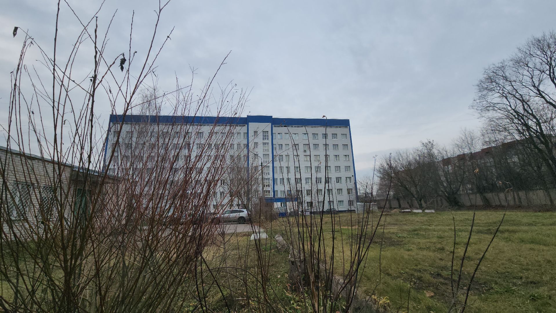 Медицина, благоустройство, люди, общемтво, здравоохранение, городской округ пушкинский, ивантеевка,