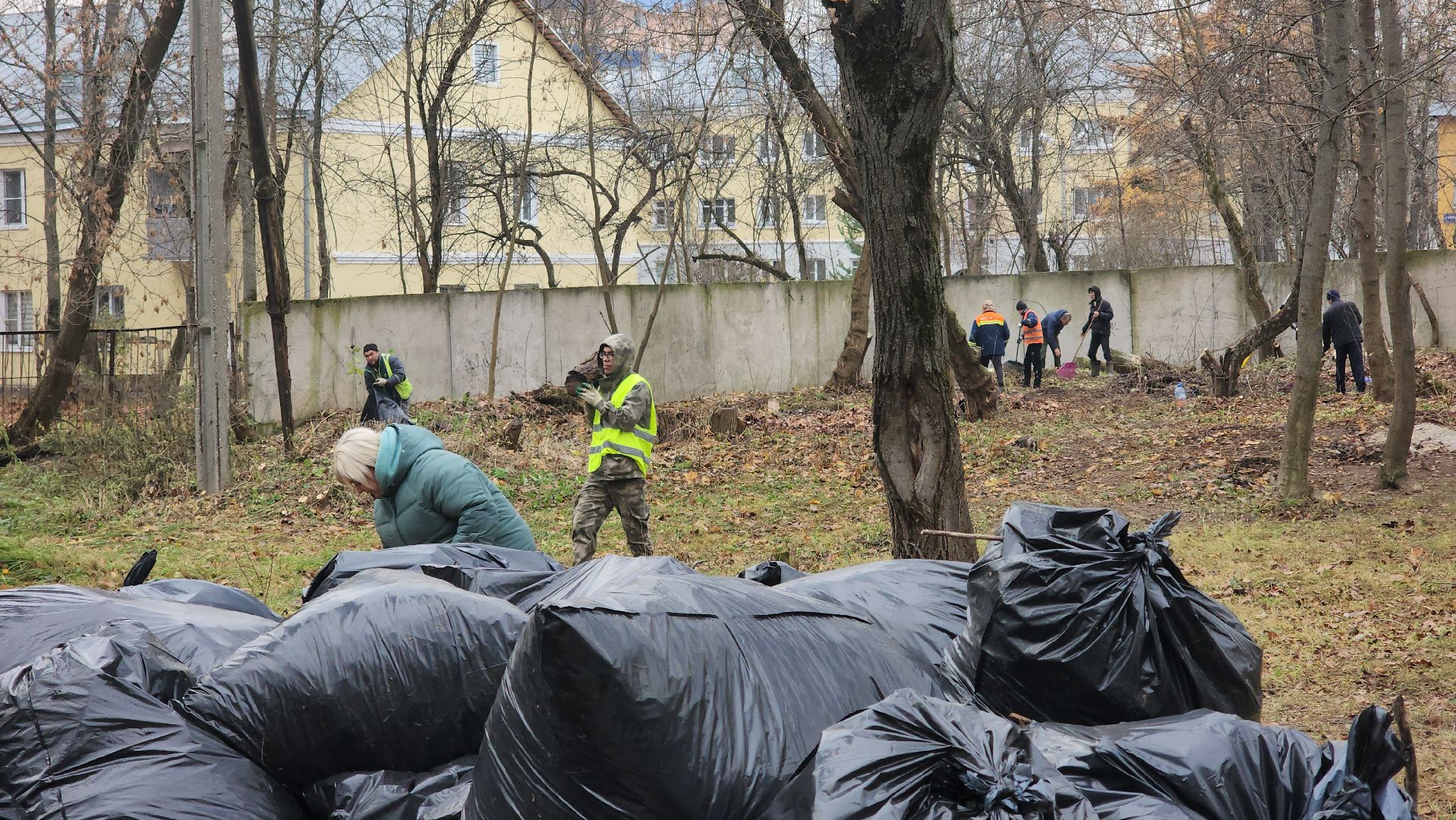 Медицина, благоустройство, люди, общемтво, здравоохранение, городской округ пушкинский, ивантеевка,