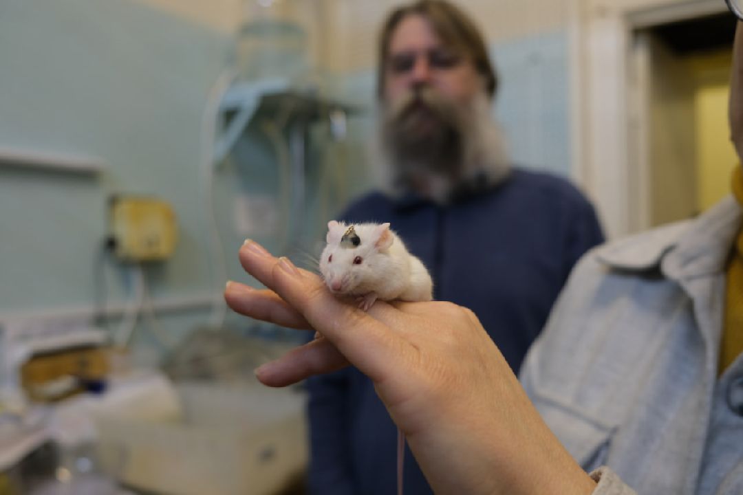 Пущино Ученые изобрели