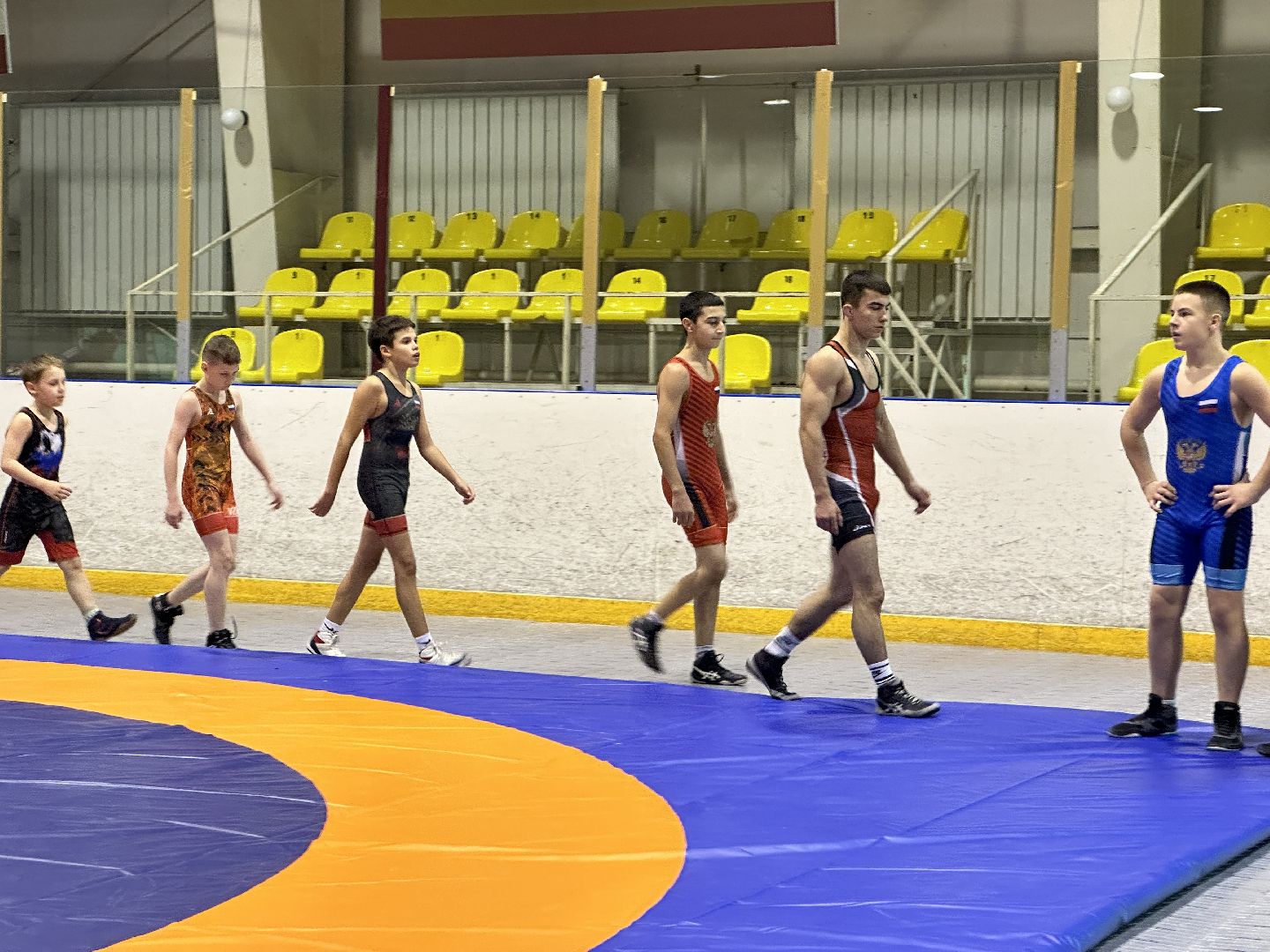 Клин, общество, спорт, единоборства, подмосковье,