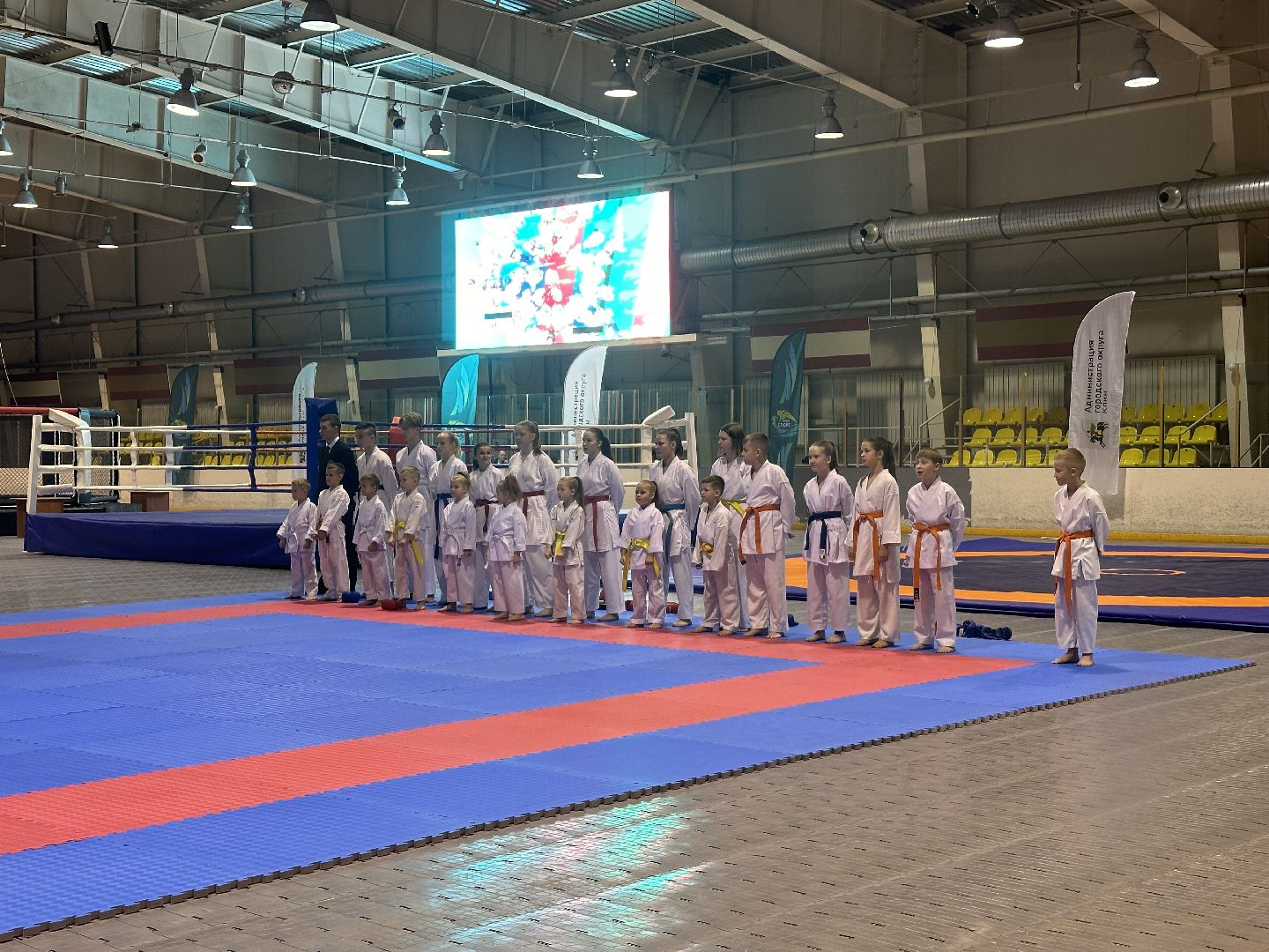 Клин, общество, спорт, единоборства, подмосковье,