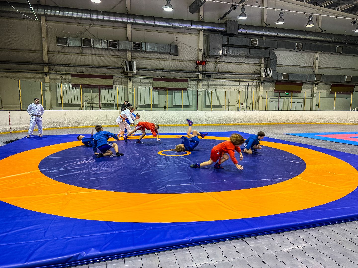 Клин, общество, спорт, единоборства, подмосковье,