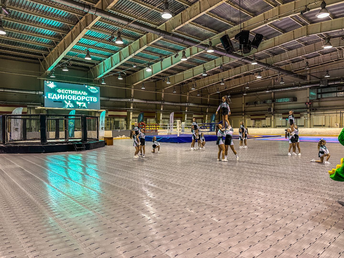 Клин, общество, спорт, единоборства, подмосковье,