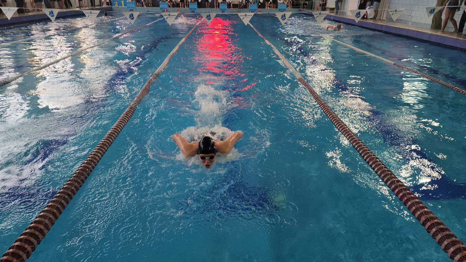 шатура, зарайск, рошаль, орехово-зуево, куровское, Дрезна, первенство по плаванию, олимпийский, награждение,