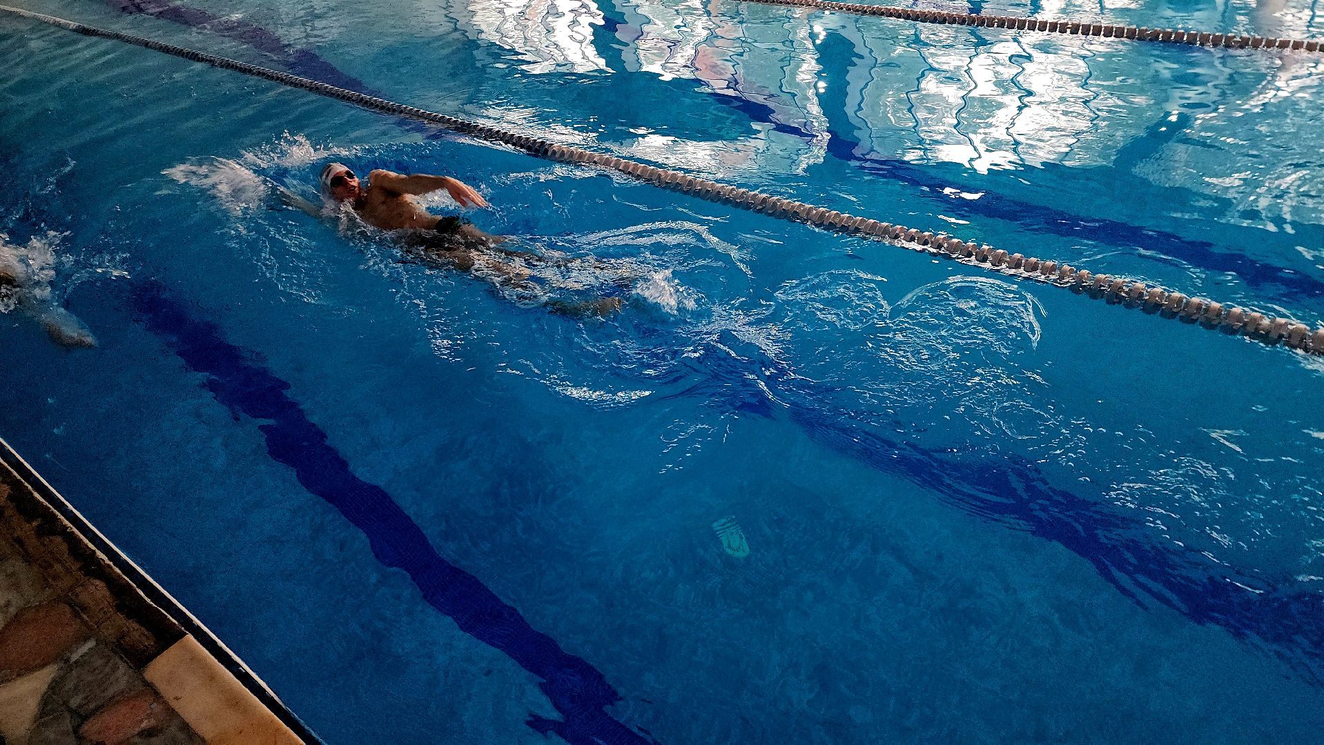 шатура, зарайск, рошаль, орехово-зуево, куровское, Дрезна, первенство по плаванию, олимпийский, награждение,