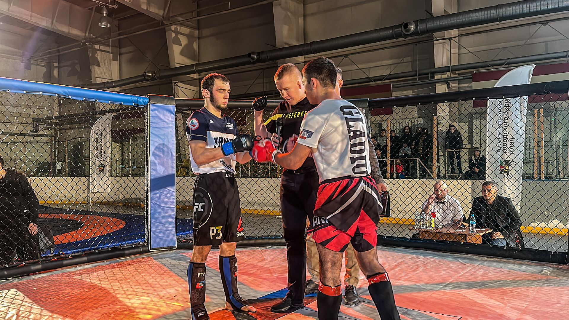 Клин, общество, спорт, ММА, подмосковье,