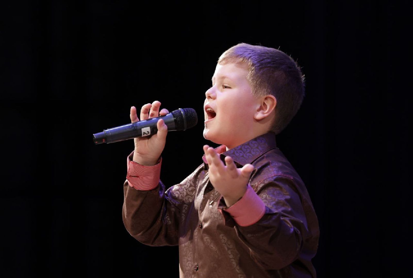 Протон, Протвино, Галерка, фестиваль-конкурс, артисты,