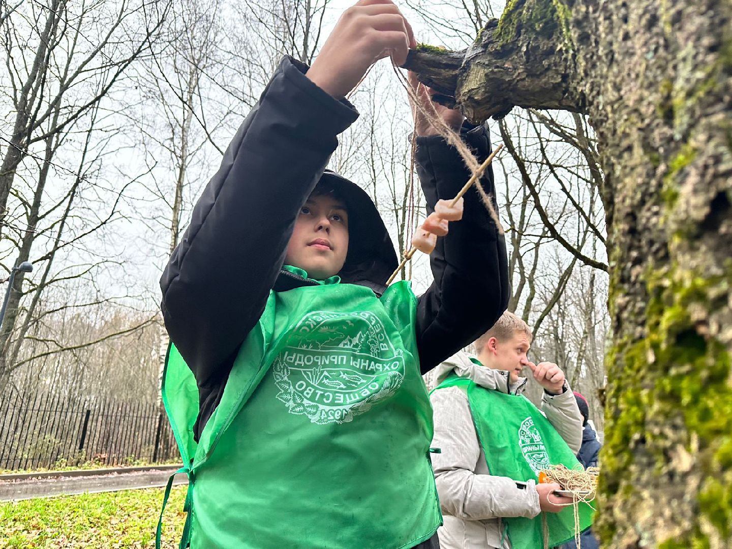 экологическая акция, Синичкин день, зеленый патруль, наро-фоминск,
