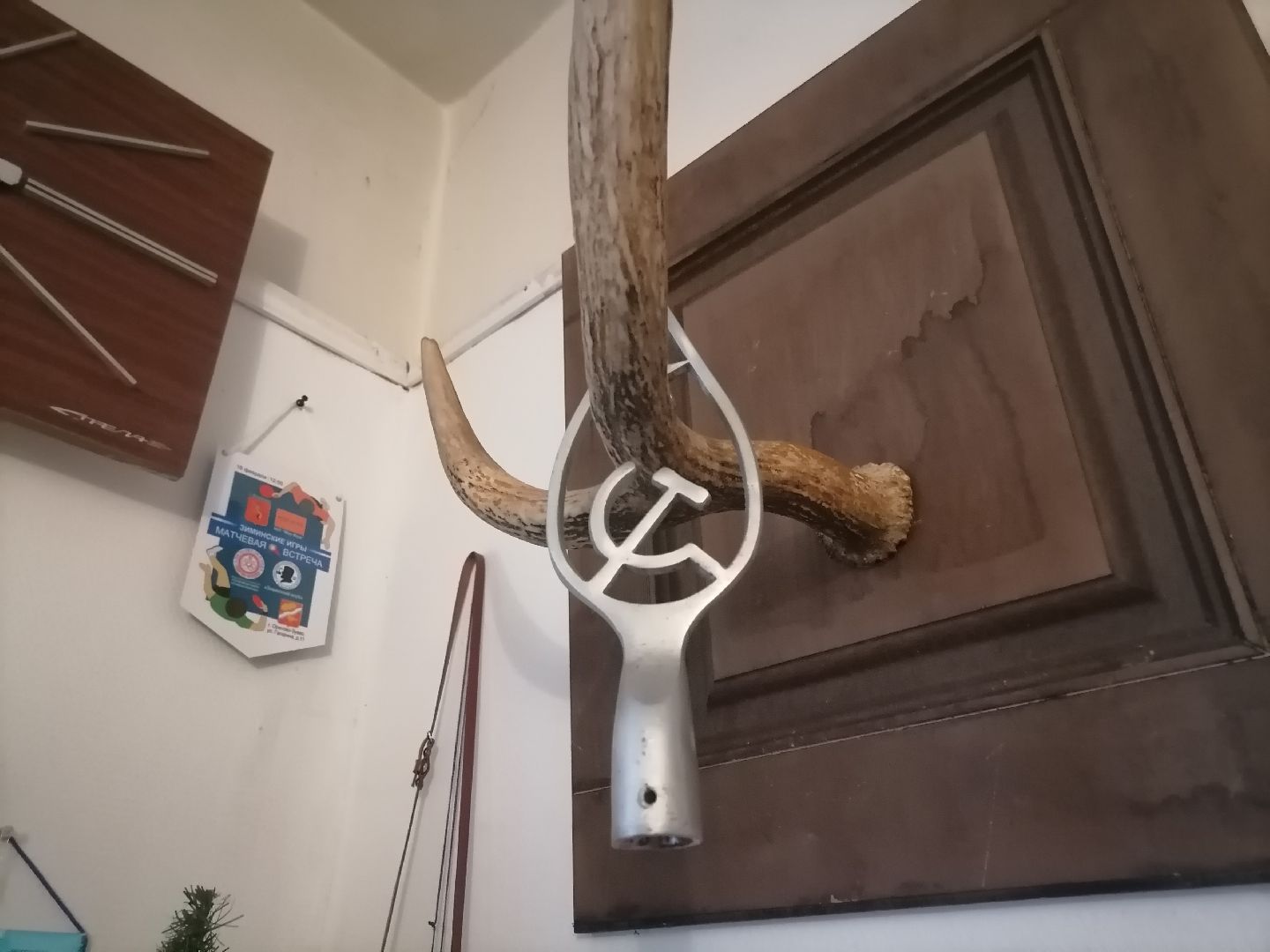 социальные и молодежные проекты,